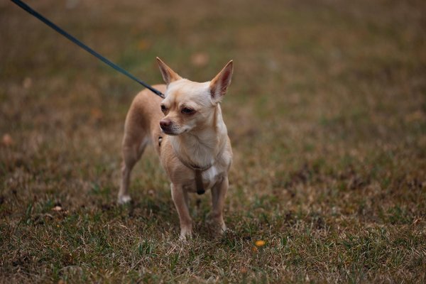 How Can UK Healthcare Systems Improve Accessibility for All?